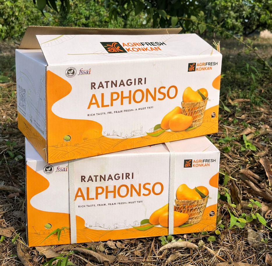 Alphonso Mangoes (1 Dozen)