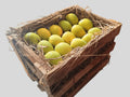 Alphonso Mango Peti (5 Dozen)