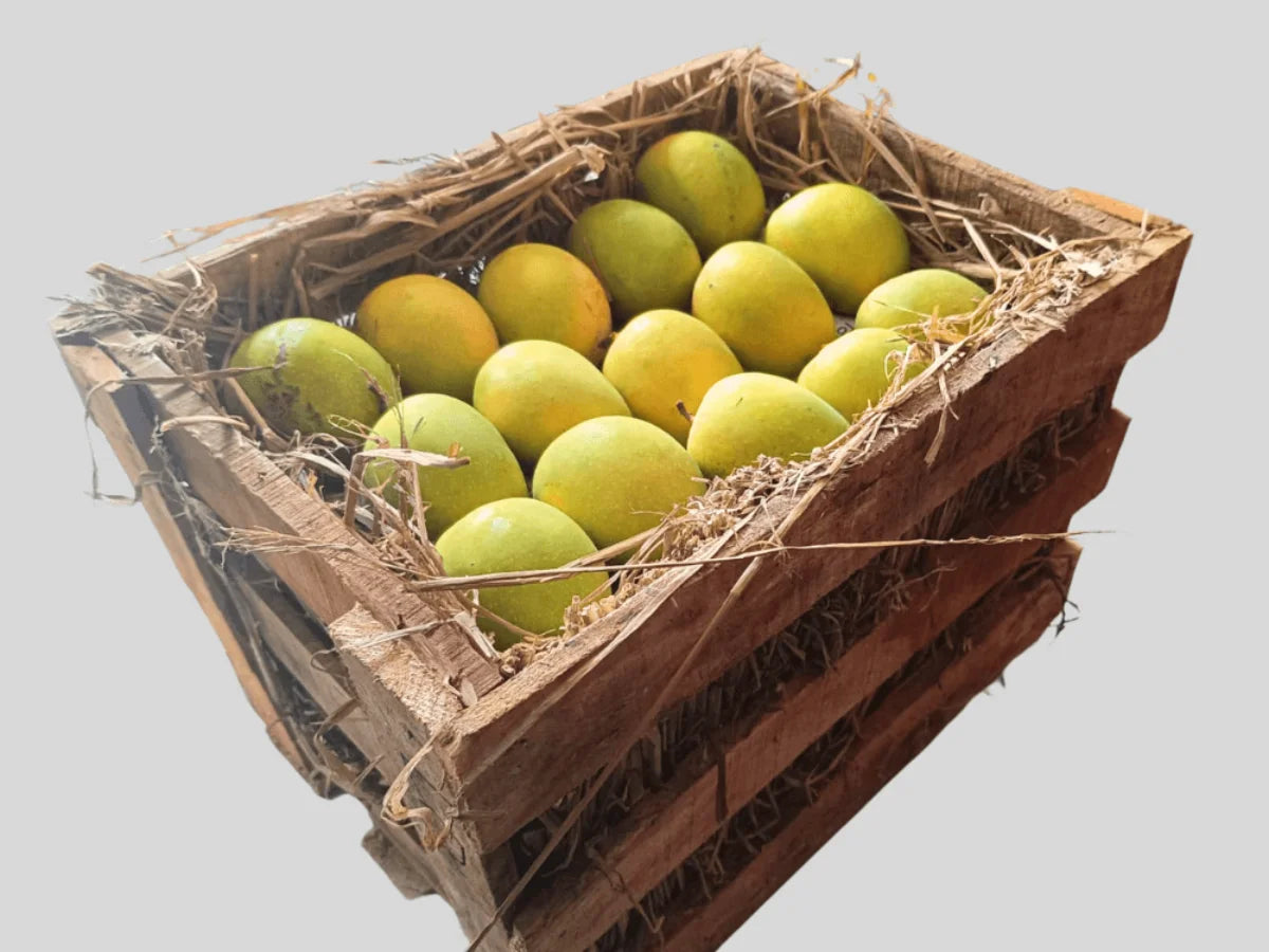 Alphonso Mango Peti (5 Dozen)