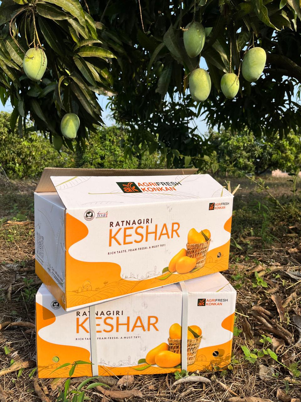 Kesar Mango (2 Dozen)