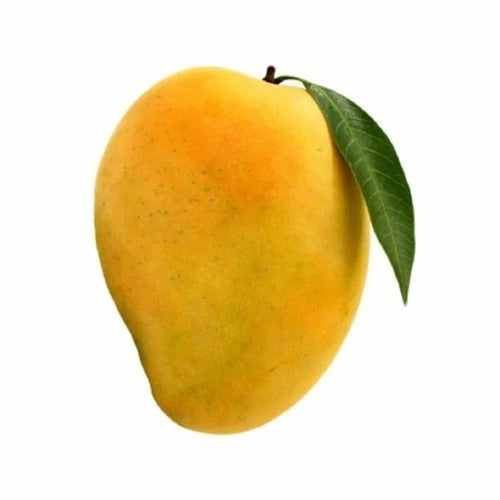 Alphonso